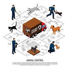 动物控制机构服务等距海报与官员捕捉运送狗猫庇护所矢量插图动物控制服务等距海报背景图片