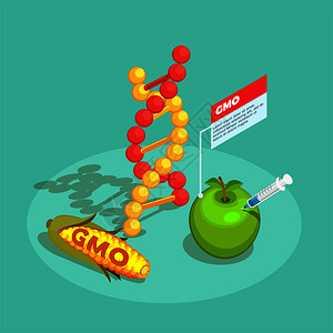 水果实验素材用DNA分子基因玉米苹果载体插图绿松石背景上的基因食品等距成基因食品等距成分插画
