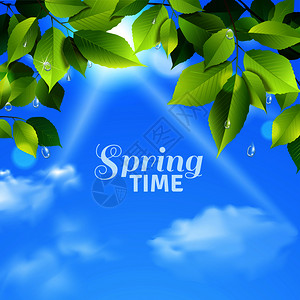 春季现实海报与雨滴绿叶落多云的天空背景矢量插图春天的现实海报插画