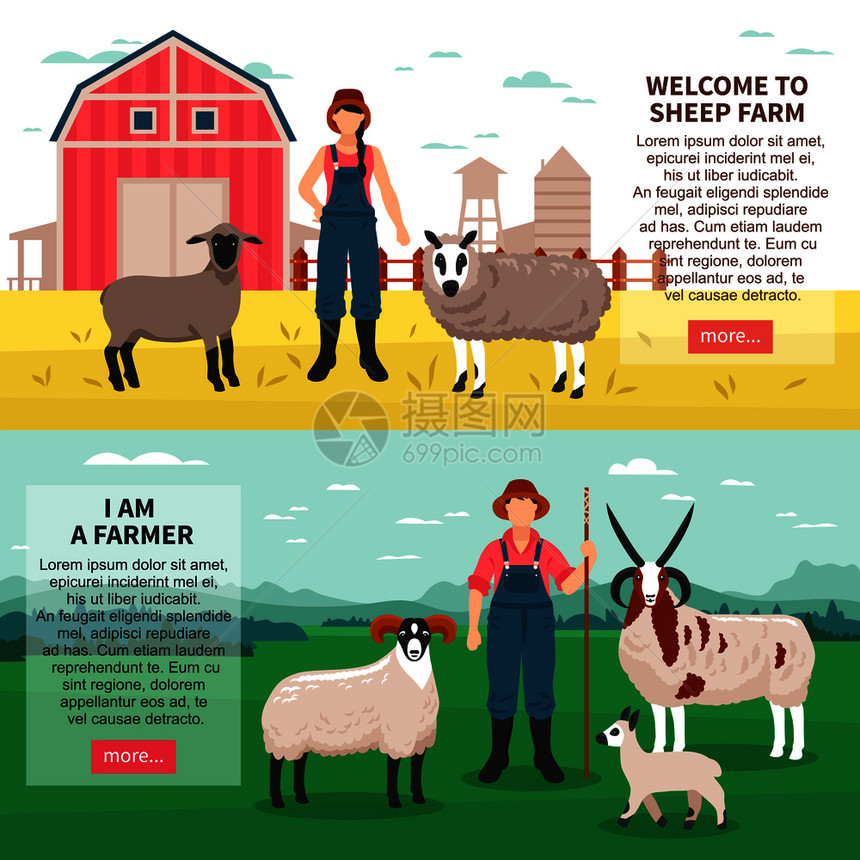 绵羊养殖场2平水平横幅网页与公羊母羊农民介绍文本孤立矢量插图绵羊繁殖平板横幅图片