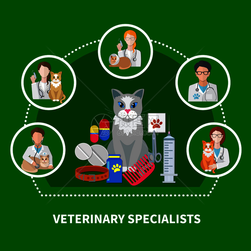 兽医专家治疗平图标成与猫药物配件宠物护理产品爪子打印矢量插图兽医专家平成图片