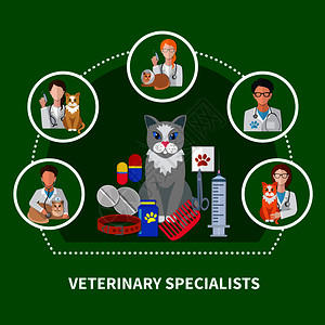 宠物医生图标兽医专家治疗平图标成与猫药物配件宠物护理产品爪子打印矢量插图兽医专家平成插画