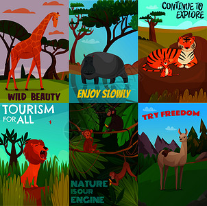 野生动物海报套卡通彩色卡片与野生外来动物生活丛林热带矢量插图野生动物卡片套插画