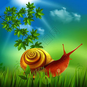 蜗牛草地上晒太阳,用枫树枝,户外自然,夏季矢量插图,写实构图蜗牛草地上逼真图片