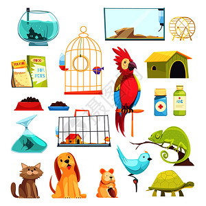 笼子和鸟宠物店家畜,干饲料,药物,笼子水族馆分离矢量插图宠物店套装插画