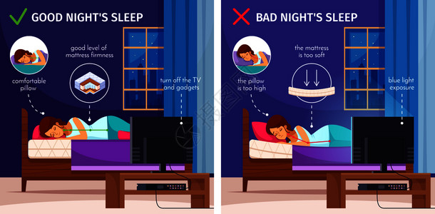 VI作品集正确的睡眠卡通作品集两个平图像与室内公寓风景睡眠妇女矢量插图晚安睡眠收集插画