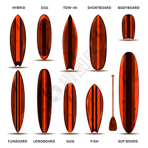 真实的冲浪板与木制纹理模型名称描述矢量插图木制冲浪板写实套图片