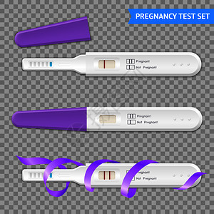 早孕2线测试试剂盒真实收集紫丁香丝带透明背景隔离矢量插图妊娠试验真实透明插画