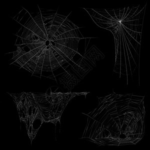 蜘蛛网缠结规则蜘蛛网4真实白色图像收集黑色背景孤立矢量插图逼真的蜘蛛网集插画
