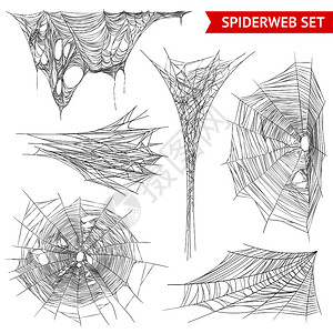 各种类型的蜘蛛网蛛网结构真实的图像收集白色背景矢量插图逼真的蜘蛛网集图片