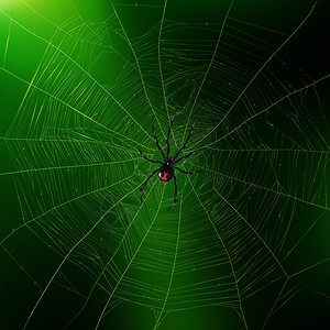 缠结明亮的绿色现实背景与蜘蛛编其复杂的网络三维矢量插图蜘蛛编它的网络现实背景插画