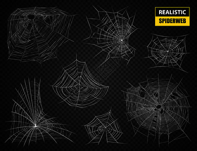 蜘蛛网元素真实的白色复杂蜘蛛网的各种形式大小的黑暗透明背景矢量插图现实的蜘蛛网透明集插画