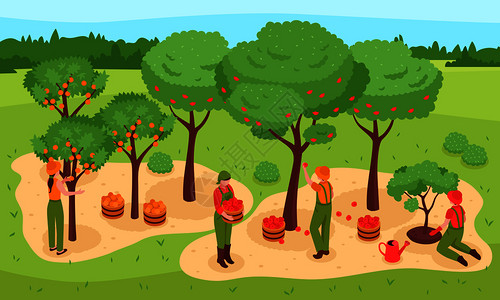 园艺收获等距与树木,水果人的符号矢量插图园艺等距插图图片