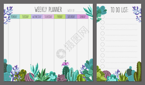 每周计划页现实模板与列表肉质植物底部边界矢量插图每周规划师背景图片