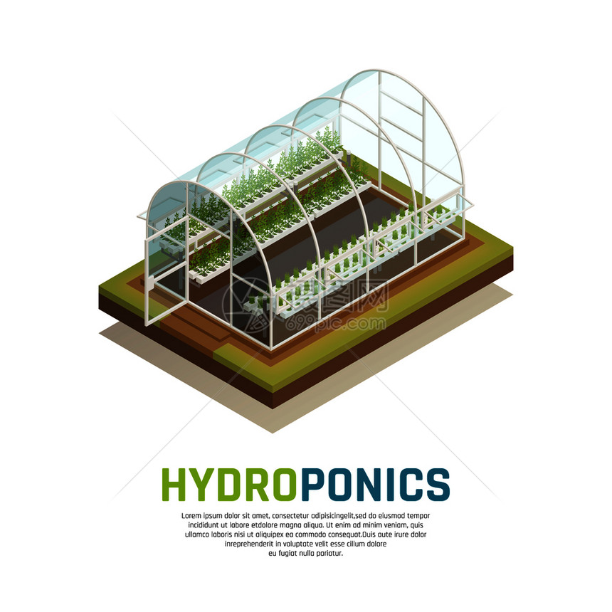 温室水培等距成与温室温室的图像与水箱园艺植物文本矢量插图水箱农业背景图片