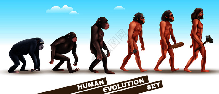 人类进化图人类源进化图插画