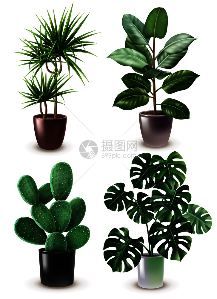 现实盆栽图标同类型的植物时尚的盆栽矢量插图逼真的室内植物图标图片