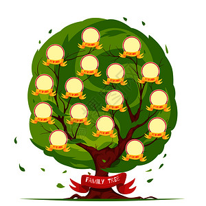 家庭结构系谱树模板与圆形框架的家庭成员肖像绿色树叶背景矢量插图家庭树模板插画
