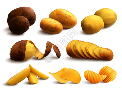 枕薯生薯炸薯片粗处理切碎薯片白色背景现实矢量插图生煎土豆写实套装插画