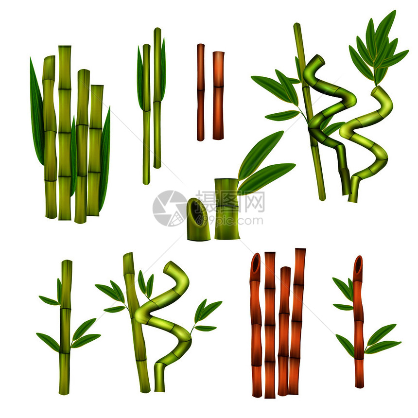 绿色竹装饰元素温暖的按摩空心手杖工具,各种风格的写实矢量插图竹子写实套装图片