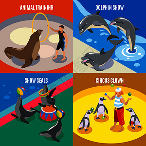 海豹免抠素材海洋马戏2x2集动物训练马戏小丑海豚海豹展示等距构图矢量插图海洋马戏2x2等距插画