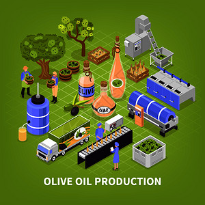 橄榄生产工艺等距海报与水果收集运输油提取包装信息图元素绿色背景矢量图橄榄油生产海报背景图片