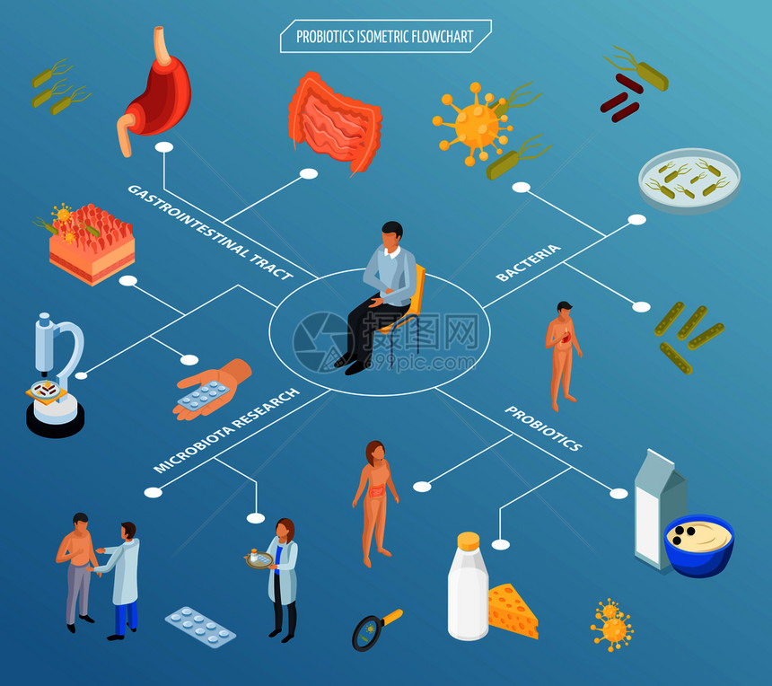 益生菌等距流程图的成与药丸,食品,人体器官的孤立图标病人矢量插图的特点益生菌治疗等距流程图图片