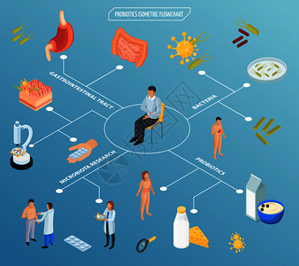 益生菌等距流程图的成与药丸,食品,人体器官的孤立图标病人矢量插图的特点益生菌治疗等距流程图高清图片