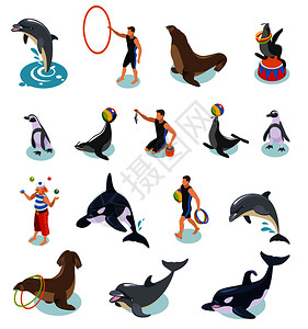 海豚戏球海洋马戏等距图标集海豹,海象,企鹅,海豚,虎鲸,动物驯兽师杂耍小丑矢量插图海洋马戏等距图标插画