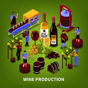 葡萄酒生产成,葡萄园压榨葡萄瓶装输送机老化桶等距矢量图葡萄酒生产等距插图图片