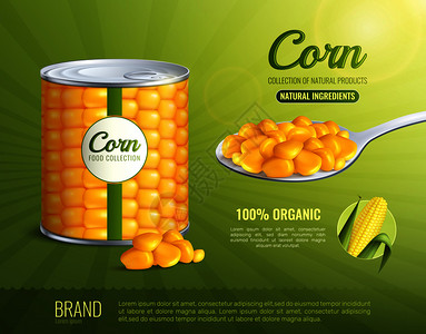勺子里玉米玉米广告构图与自然成分符号现实矢量插图玉米广告构图插画