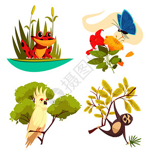 动物丛林与青蛙芦苇,蝴蝶花,鹦鹉树懒矢量插图动物丛林背景图片