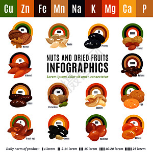 枣夹核桃葡萄干平信息关坚果干果的信息及其日常规范矢量插图坚果平信息图插画