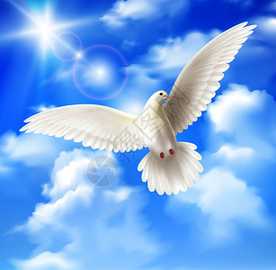 白色鸽子背景与天空太阳云的现实矢量插图白色鸽子背景图片