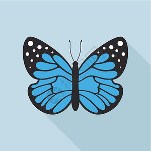 扁平风格的蝴蝶矢量插图背景图片