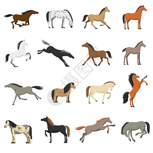 弗里吉拉最好的马种图片图标最好的马种图标收集工作,体育娱乐活动与谢特兰小马抽象孤立矢量插图插画