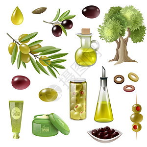 橄榄树素材橄榄卡通套装橄榄卡通集橄榄树油孤立矢量插图插画