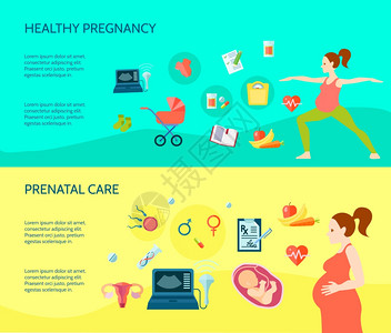 怀孕合物套装妊娠水平合物健康妊娠符号平孤立向量插图图片