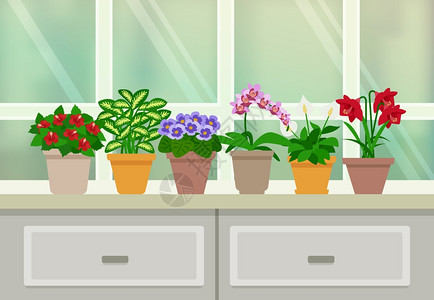 室内植物背景插图室内植物花卉开花背景与窗口抽屉平矢量插图图片