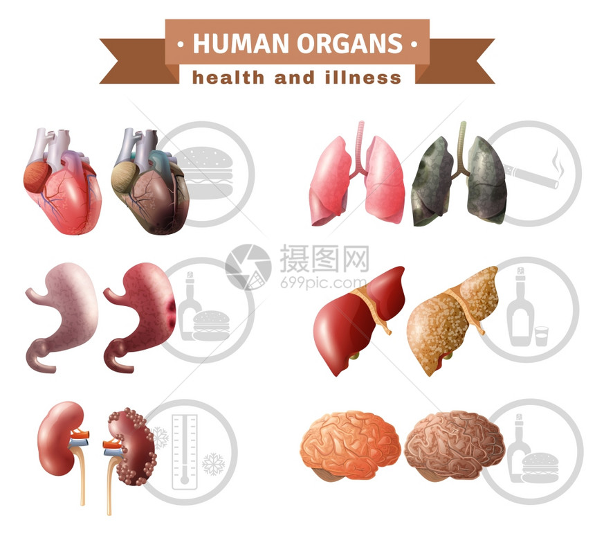人体器官健康风险医疗海报人体器官健康危险因素图标成医疗海报与哈特肝脑肺教育矢量插图图片
