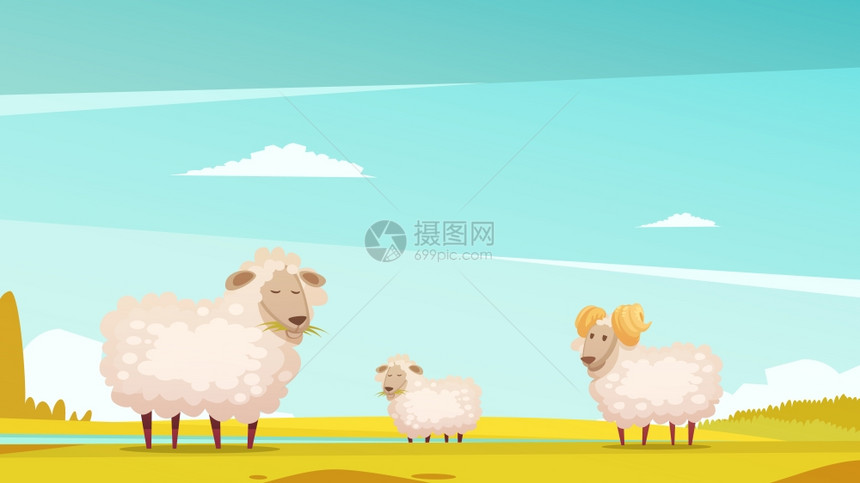 绵羊农田上放牧卡通海报国内绵羊育种饲养农场牧场趣的卡通海报与放牧公羊羔羊矢量插图图片