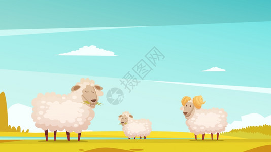 绵羊农田上放牧卡通海报国内绵羊育种饲养农场牧场趣的卡通海报与放牧公羊羔羊矢量插图插画
