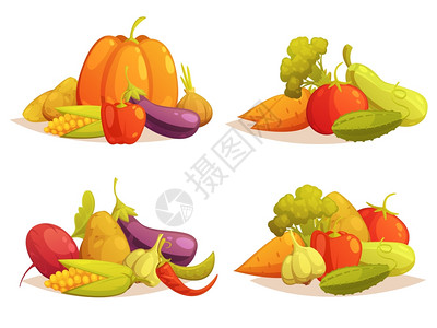 蔬菜合辑蔬菜成4个图标方形经典农贸市场蔬菜合4复古风格图标南瓜黄瓜孤立矢量插图插画