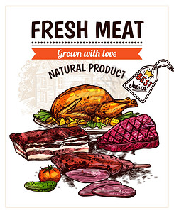 手绘见菜海报手绘满足菜肴海报与烤鸡牛排,牛肉蔬菜矢量插图图片