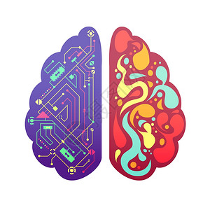 右左脑象征彩色图像左右人脑半球符号彩色与流程图活动区矢量图插画