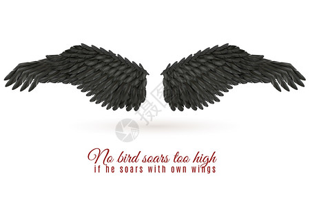 深色鸟翼背景白色背景上的大黑鸟翅膀,阴影引用现实的矢量插图图片