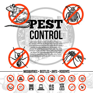 消寒图虫害控制信息图害虫防治信息与昆虫老鼠的图标保护手段草图风格的孤立矢量插图插画