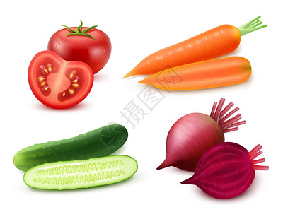 番茄叶现实的蔬菜套装现实蔬菜番茄胡萝卜黄瓜甜菜白色背景分离矢量插图插画