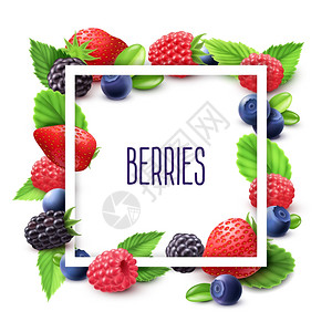 浆果框架写实套浆果框架现实蓝莓草莓黑莓矢量插图图片