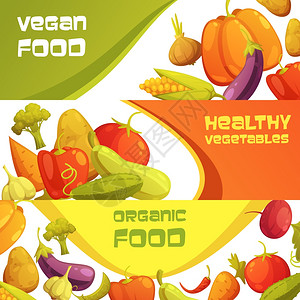 新鲜机蔬菜水平横幅健康机纯素食品广告横向横幅成熟农贸市场蔬菜孤立卡通矢量插图背景图片